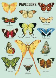 Poster Papillons