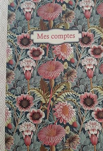 Cahier illustré 48 pages 15 X 21cm  « Mes comptes »