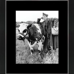La Vache et le prisonnier Dim: 40×46 cm