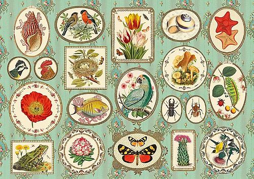 Puzzle 1000 pièces – Naturaliste