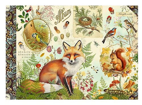 Cahier illustré – Forêt