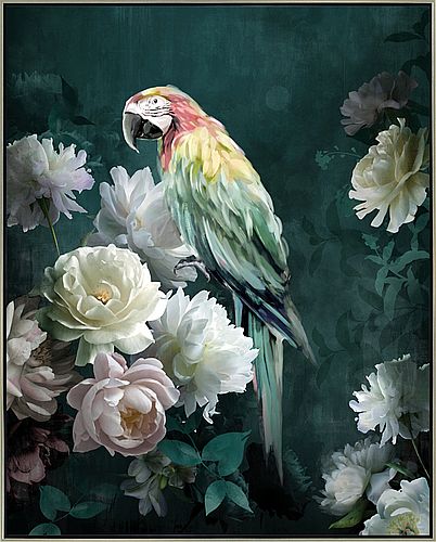 Toile encadrée Perroquet – Cadraven