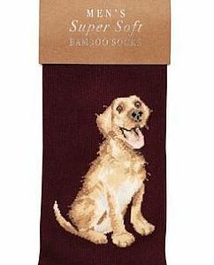 Chaussettes pour hommes Labrador 41 - 46